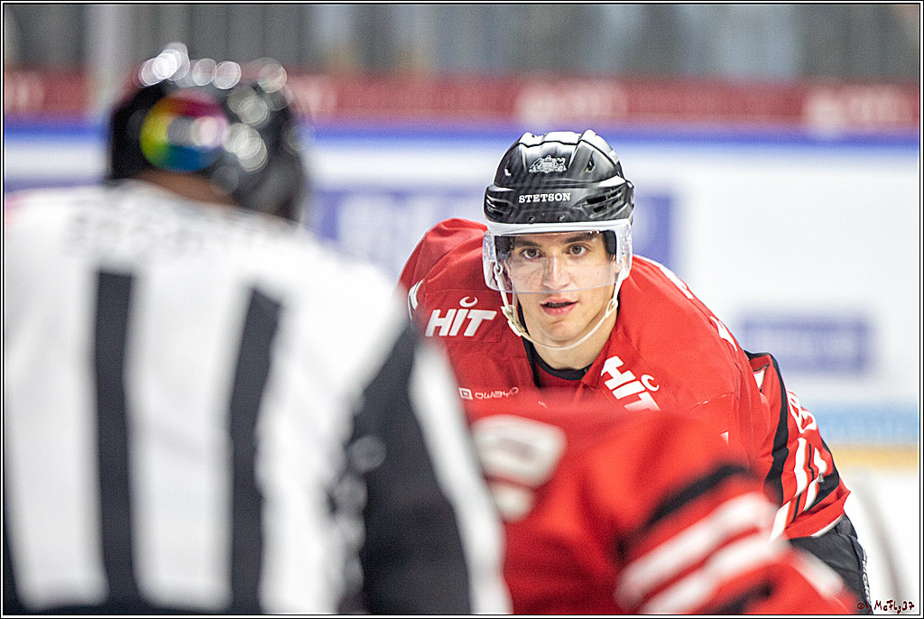 DEL; Koelner Haie - Straubing Tigers; Koeln, 17.11.2019